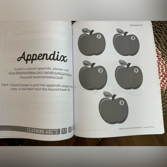 NEW Toddler Lesson Plans: Learning ABC's: 26 wk guide book ages 2-6 yr olds - Picture 8 of 13